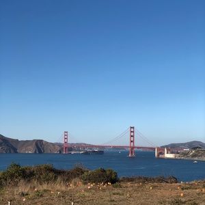 Meet your Posher, Pedro